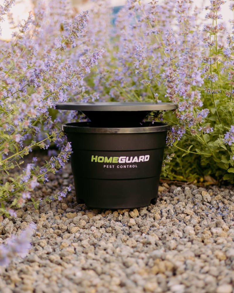 HomeGuard bait station tucked into a flower bed beside a home